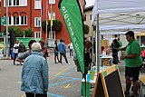 Giornata dell'ambiente - Montagnola
