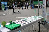 Giornata dell'ambiente - Montagnola